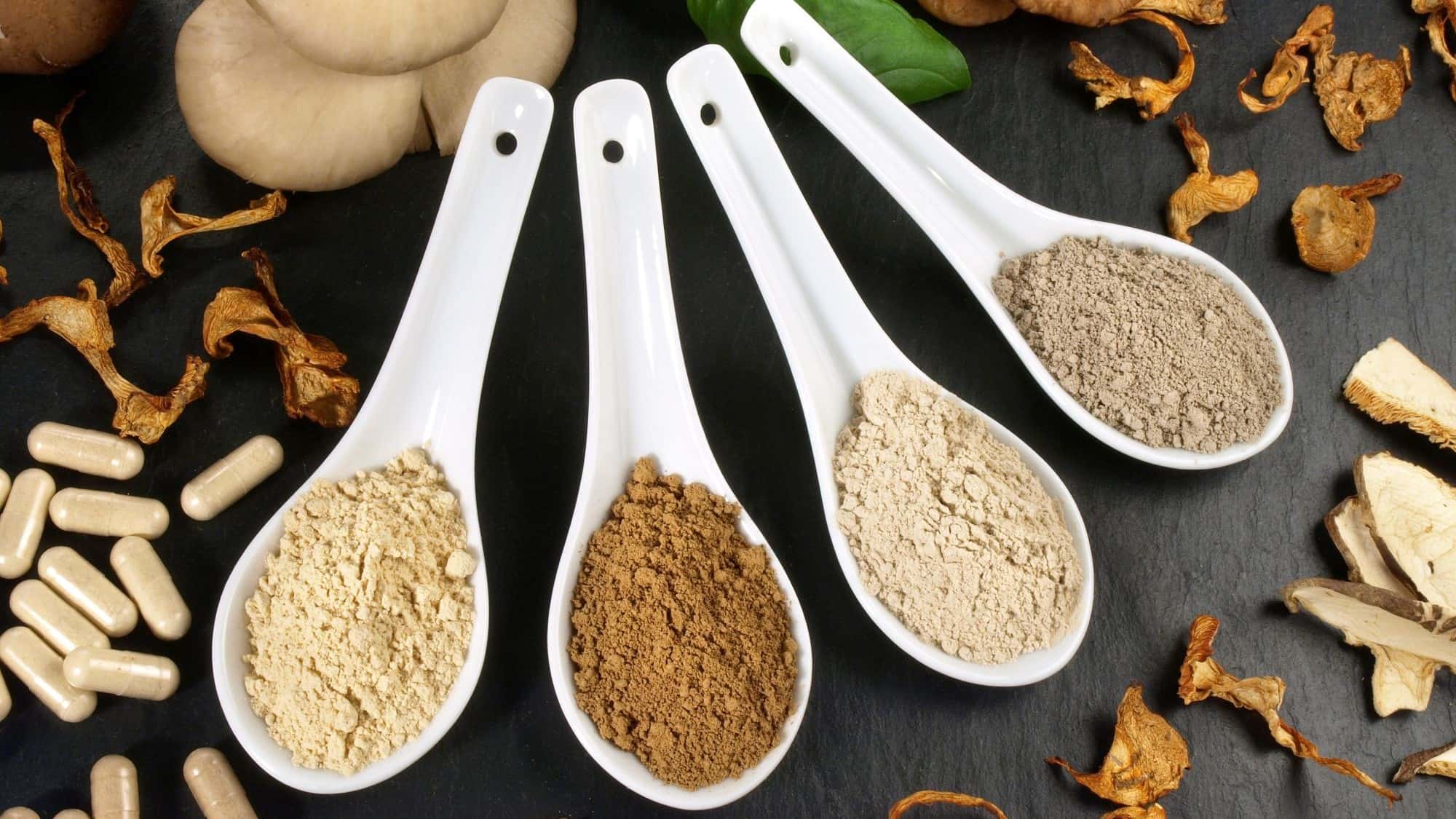 Vitalpilze-Hype-oder-hilfreich-Cordyceps-Reishi-Co-Was-Vitalpilze-wirklich-bringen