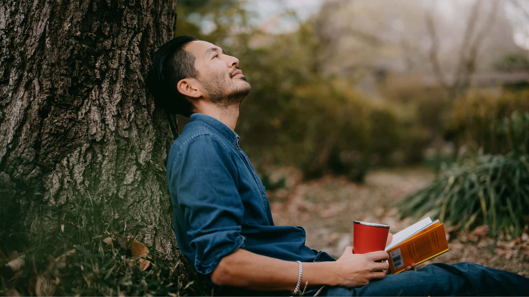 Heilpilz-gegen-Stress-Reishi-gegen-Stress-Wie-M-nner-davon-profitieren