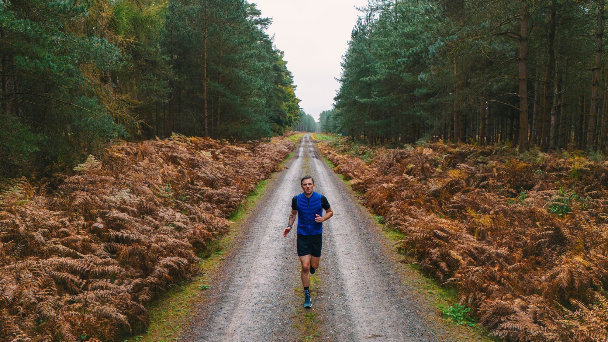 Cardio-mit-System-Ausdauer-verbessern-Die-besten-Strategien-Trainingsmethoden-Tools