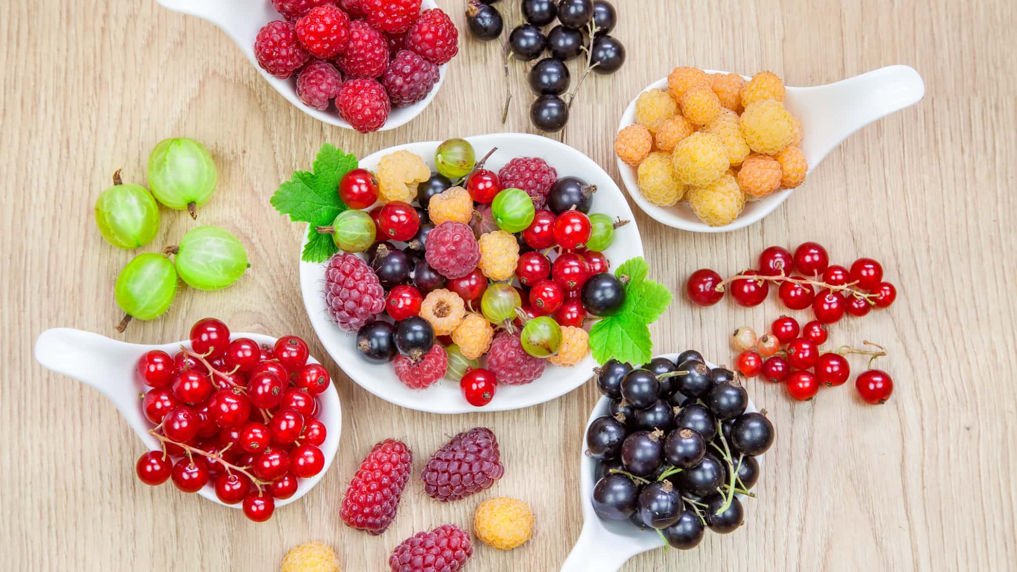 Muskelregeneration-mit-Pflanzenfarbstoffen-Powerfarben-auf-dem-Teller-Wie-bunte-Pflanzenstoffe-dein-Training-verl-ngern-nicht-nur-dein-Leben