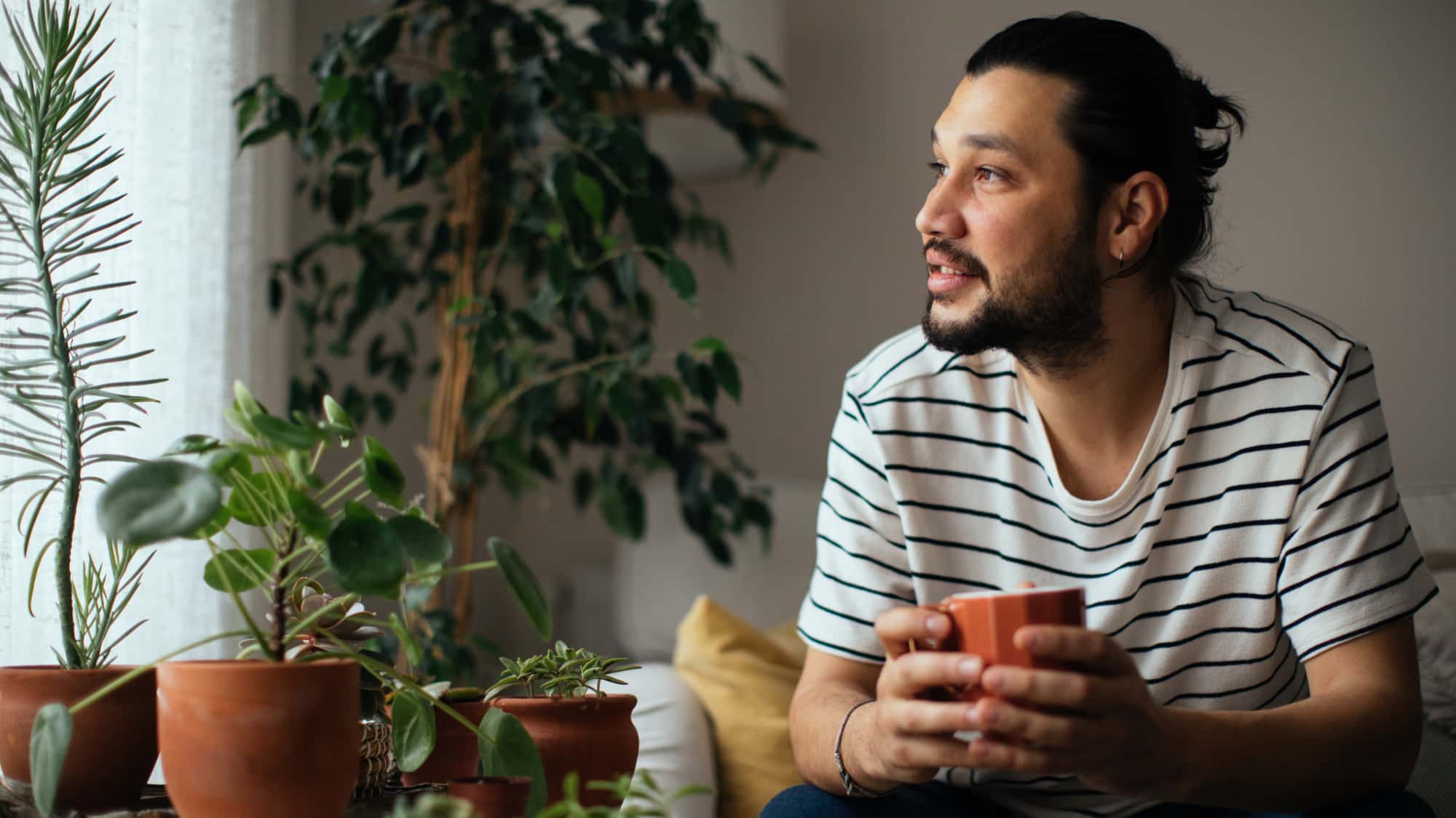 detox-mythen-entlarvt-neujahrsvorsatz-detox-kurble-deinen-stoffwechsel-nat-rlich-an