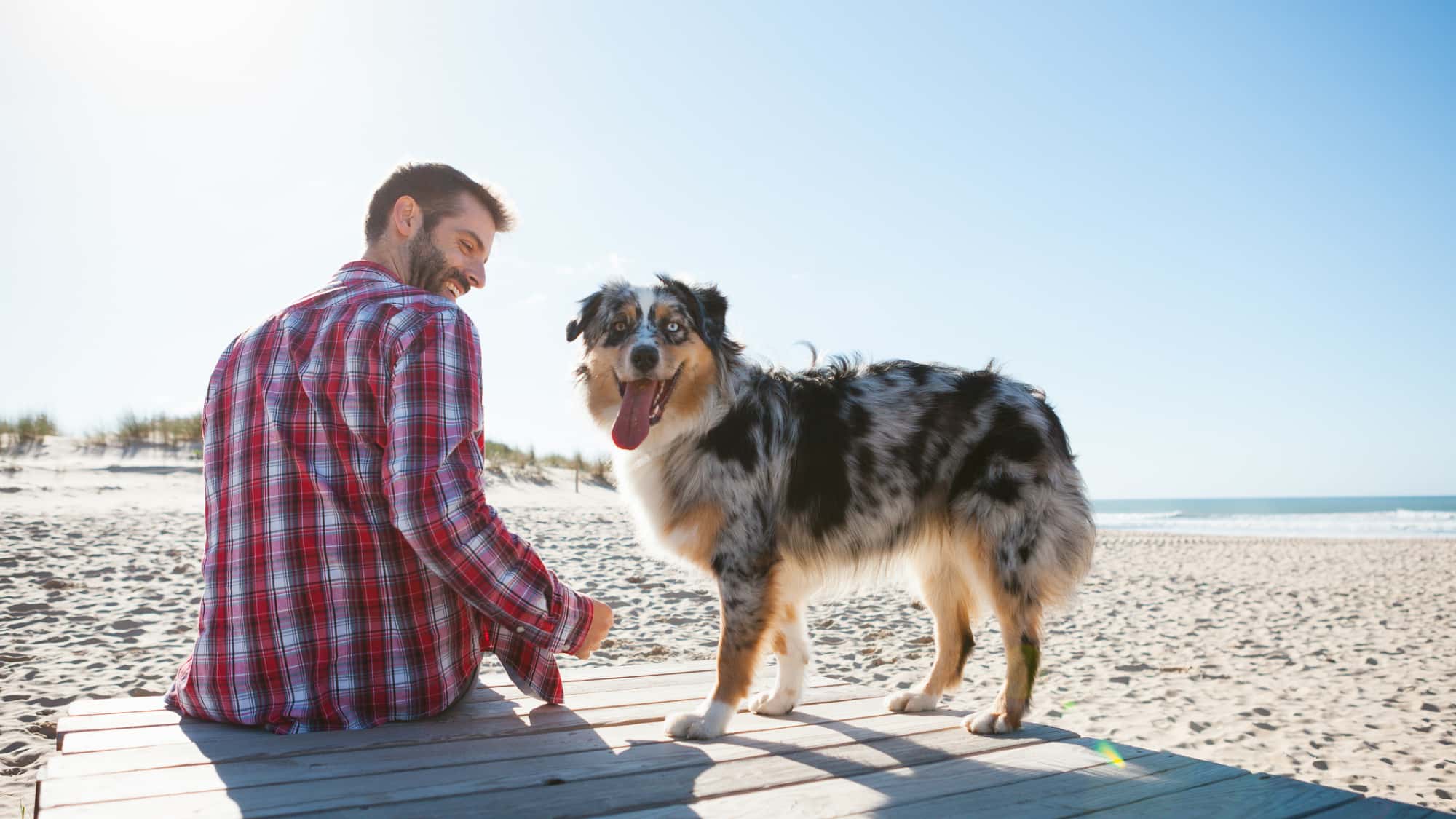 Entspannte-Hundebegegnungen-Dein-Hundespaziergang-stresst-dich-Dieses-Buch-hilft-dir-deinen-Hund-besser-zu-verstehen