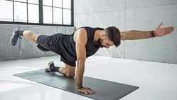 Bird Dog richtig machen