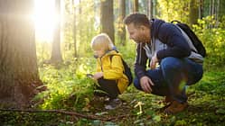 Vater und Sohn sind im Wald auf Entdeckungstour