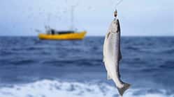 Men's Health auf der "Spur der Lachse"