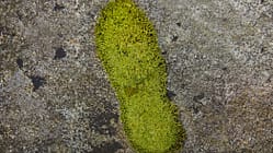 Grüner Fußabdruck