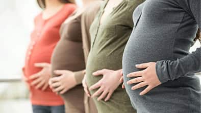 Vier schwangere Frauen, die ihre Hände auf den Bauch gelegt haben