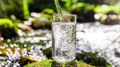 Glas vor Waldhintergrund, in das Wasser eingeschenkt wird