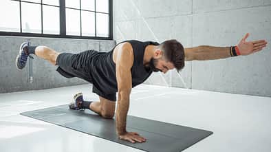 Bird Dog richtig machen