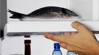 Fisch bleibt im Gefrierschrank länger frisch