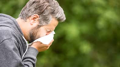 Das sind die häufigsten Heuschnupfen-Auslöser