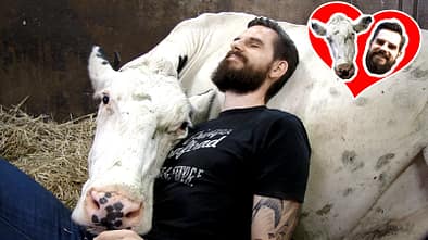 Anti-Stress-Technik Kuh-Kuscheln