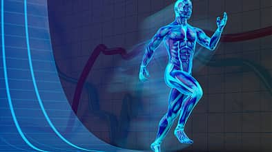 Der menschliche Körper ist ein Phänomen - wir erklären Ihnen wie er funktioniert