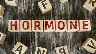 Hormone: Die Botschafter unseres Körpers