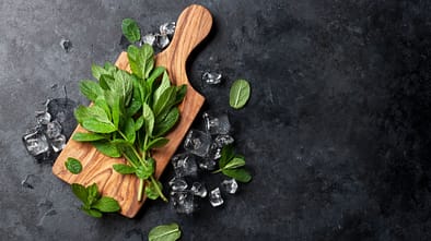 Die besten Produkte bei Mundgeruch