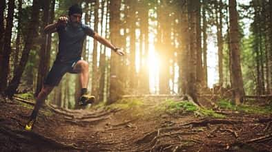 Animal Moves: Mit diesem intensiven Ganzkörpertraining werden Sie tierisch fit