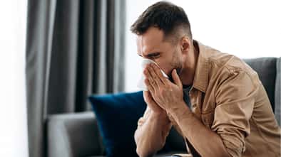 Hausstaubmilben bevölkern vor allem Betten, Sofas und Teppiche 