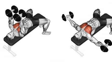 marked,initial,exercising,steps,target,red,3d,dumbbells,major,wo Breeding,Dumbbells,Lying.,3d,Illustration