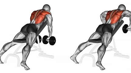 big,hands,trapezoid,activity,rod,back,exercise,occurs,two,red,3d Incline,Bench,Two,Arm,Dumbbell,Row.,3d,Illustration