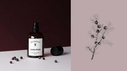 Die besten Herbst-/Winter-Düfte für Männer 2023 / Retterspitz Juniper