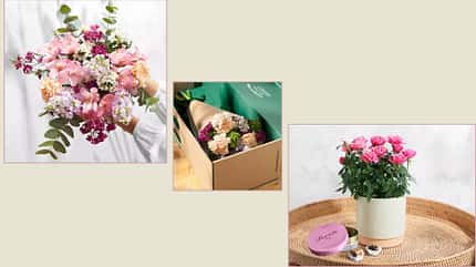 Blumen sind ein klassisches Geschenk zum Valentinstag – auch bei Fernbeziehungen. Blumen sind ein klassisches Geschenk zum Valentinstag – auch bei Fernbeziehungen.