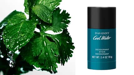 Die besten Deos / Sommer 2024 / Davidoff Cool Water Deo Stick