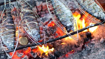 In speziellen Fischzangen grillt sich der Fisch fast von allein In speziellen Fischzangen grillt sich der Fisch fast von allein