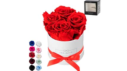Rosenbox von Infinity Rosenbox von Infinity