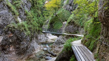 Wanderweg in der Almbachklamm Wanderweg in der Almbachklamm