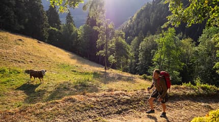 Mann wandert in den deutschen Bergen Mann wandert in den deutschen Bergen