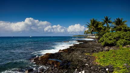 Morgenbild der Lavafeldküste von Kona Kailua auf der Big Island von Hawaii. Kissenförmige Wolken und ein blauer Himmel sind im Hintergrund. Palme, Lavafelsen und das Meer treten in den Vordergrund Morgenbild der Lavafeldküste von Kona Kailua auf der Big Island von Hawaii. Kissenförmige Wolken und ein blauer Himmel sind im Hintergrund. Palme, Lavafelsen und das Meer treten in den Vordergrund