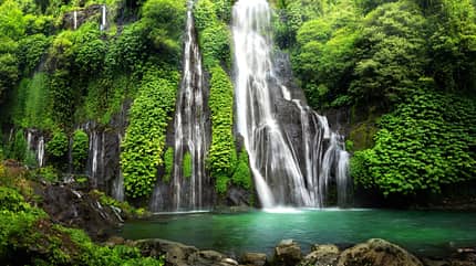 Dschungel mit Wasserfall Dschungel mit Wasserfall