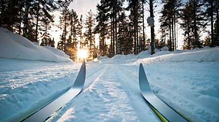 Snowdrift,Powder Snow,Snow,After Work,Recreational Pursuit,Leisure Activity,Skiing,Ski,Outdoors,Woods,Vasaloppet,Dalarna,Nordic Event,Snow Blades,Competitive Sport,Sunset,Sunrise,Ski Track,Sweden,Cross-Country Ski,Cross-country Skiing Cross Country Ski