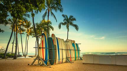 Surfboards for rent in a Hawaiian beach