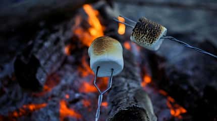 Marshmallows über dem Feuer
