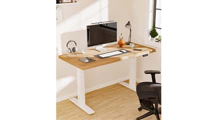  Flexispot E9