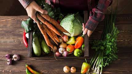Bäuerin in einer Leinenschürze mit einer Schachtel frischem Gartengemüse in der Küche Bäuerin in einer Leinenschürze mit einer Schachtel frischem Gartengemüse in der Küche