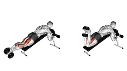 Beanspruchte Muskeln beim Beinbeuger (Leg Curl).