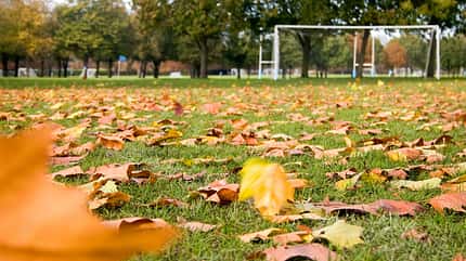 Outdoor-Training im Herbst Outdoor-Training im Herbst