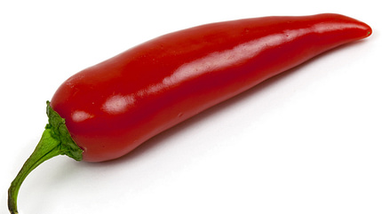 Chilischote: Scharfe Heilnahrung Chilischote: Scharfe Heilnahrung