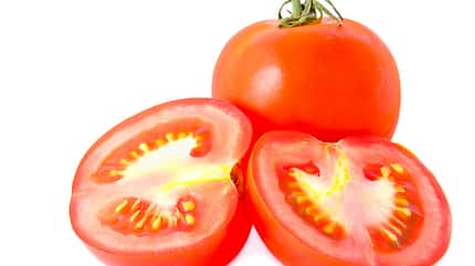 Tomaten enthalten das Antioxidant Lycopin Tomaten enthalten das Antioxidant Lycopin