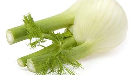 Fenchel beugt Muskelkrämpfen vor Fenchel beugt Muskelkrämpfen vor