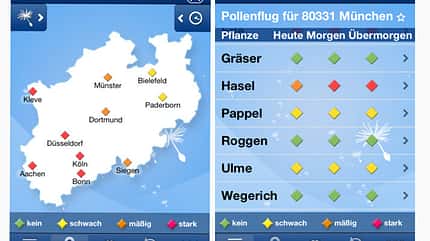 Pollenflug-Vorhersage Pollenflug-Vorhersage