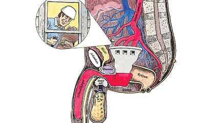 15 Gesundheitsstrategien 15 Gesundheitsstrategien