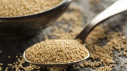 100 Gramm Amaranth enthalten 308 Milligramm Magnesium