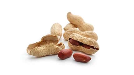 Erdnüsse enthalten bis zu 0,17 Milligramm Resveratrol pro 100 Gramm Erdnüsse enthalten bis zu 0,17 Milligramm Resveratrol pro 100 Gramm