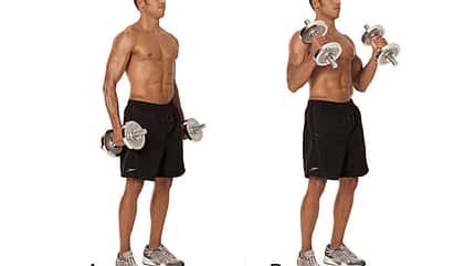 Alle Übungen aus dem Trainingsplan der Sixpack-Challenge 2015 Alle Übungen aus dem Trainingsplan der Sixpack-Challenge 2015