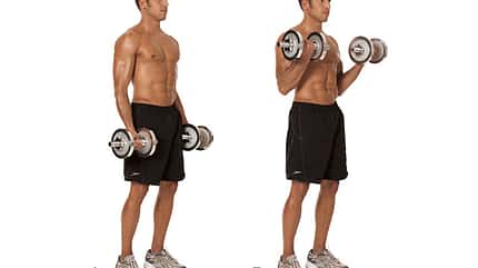 Alle Übungen aus dem Trainingsplan der Sixpack-Challenge 2015 Alle Übungen aus dem Trainingsplan der Sixpack-Challenge 2015