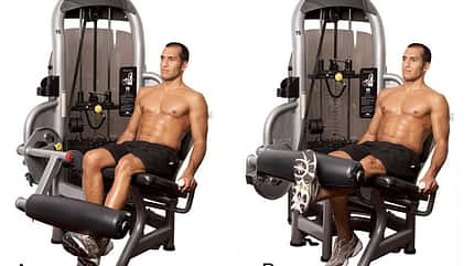 Alle Übungen aus dem Trainingsplan der Sixpack-Challenge 2015 Alle Übungen aus dem Trainingsplan der Sixpack-Challenge 2015