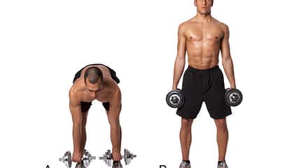 Alle Übungen aus dem Trainingsplan der Sixpack-Challenge 2015 Alle Übungen aus dem Trainingsplan der Sixpack-Challenge 2015